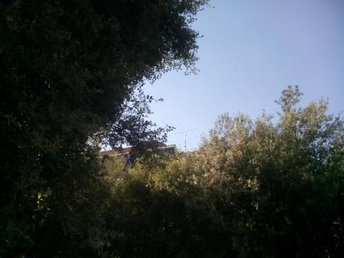 Antenas desde la Calle